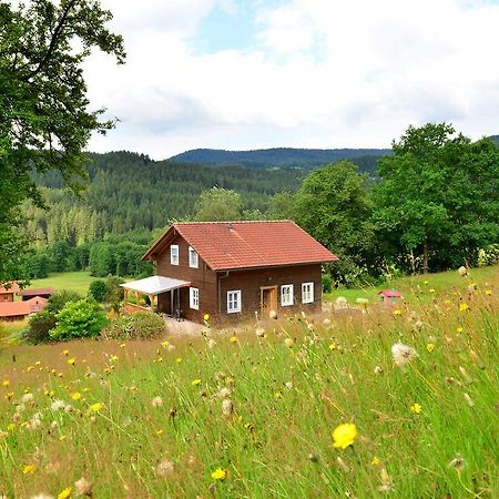 Comfort Apartment With Balcony In The Beautiful Bavarian Forest Drachselsried Exterior foto