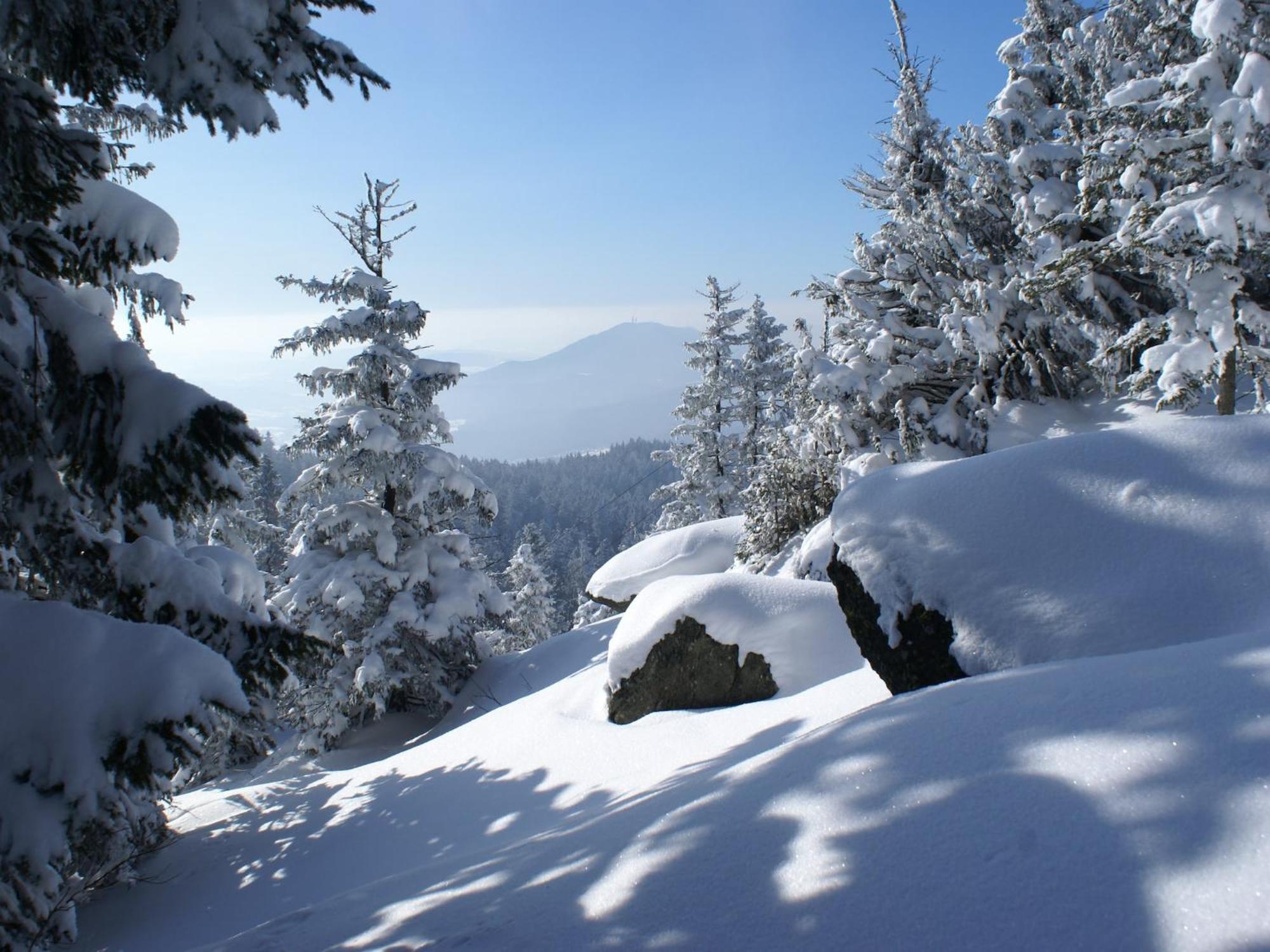 Comfort Apartment With Balcony In The Beautiful Bavarian Forest Drachselsried Exterior foto