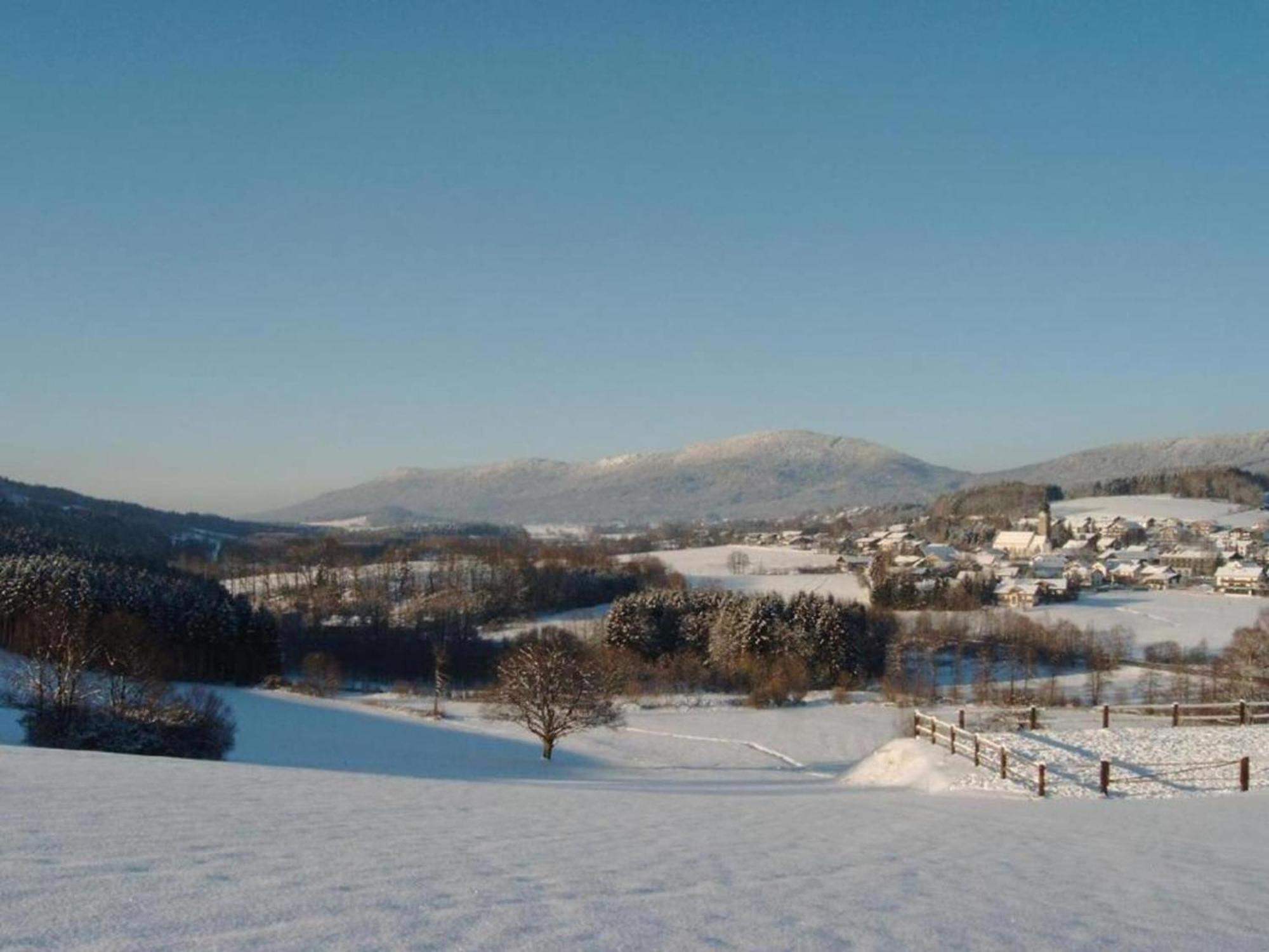 Comfort Apartment With Balcony In The Beautiful Bavarian Forest Drachselsried Exterior foto