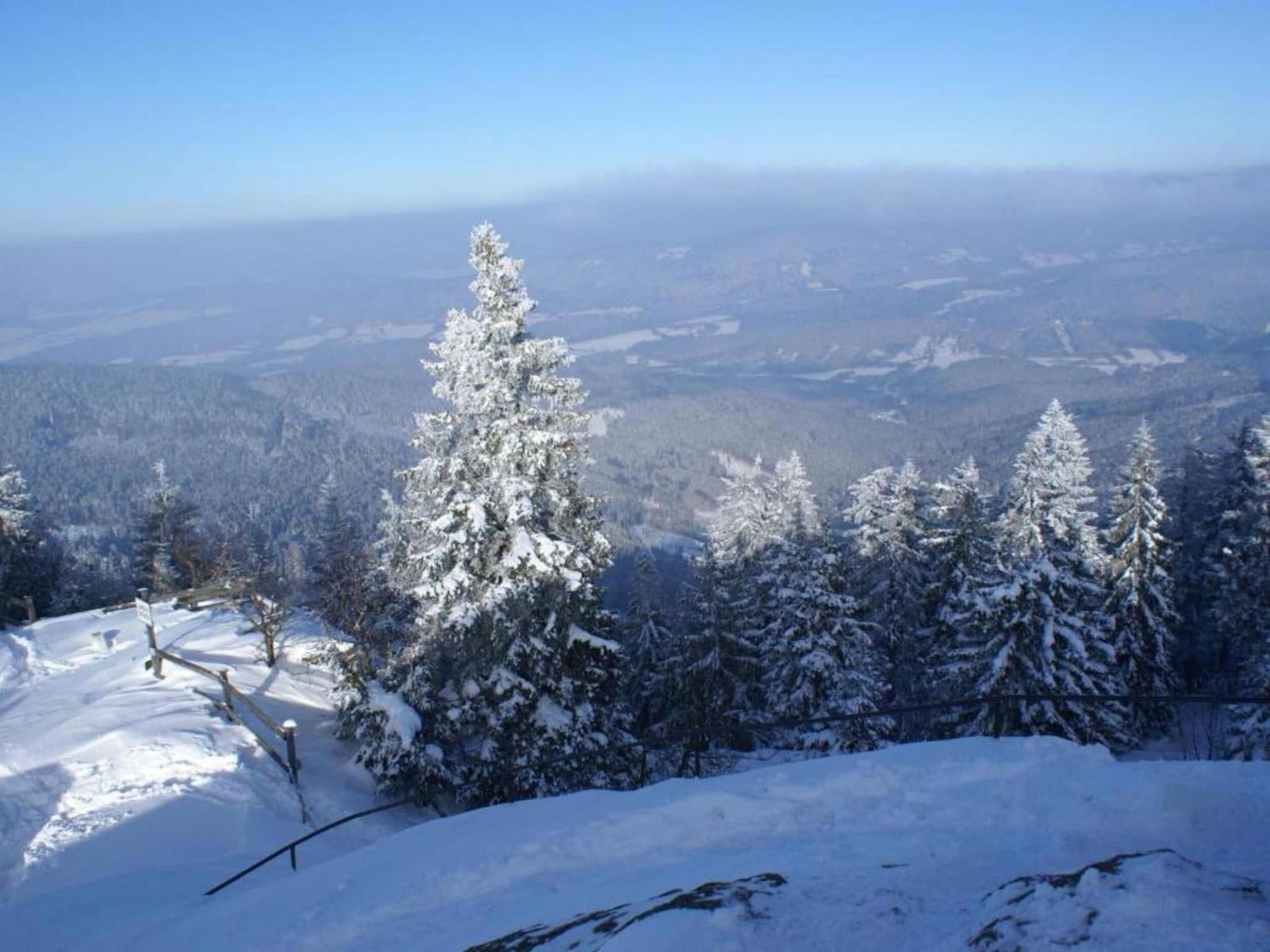 Comfort Apartment With Balcony In The Beautiful Bavarian Forest Drachselsried Exterior foto