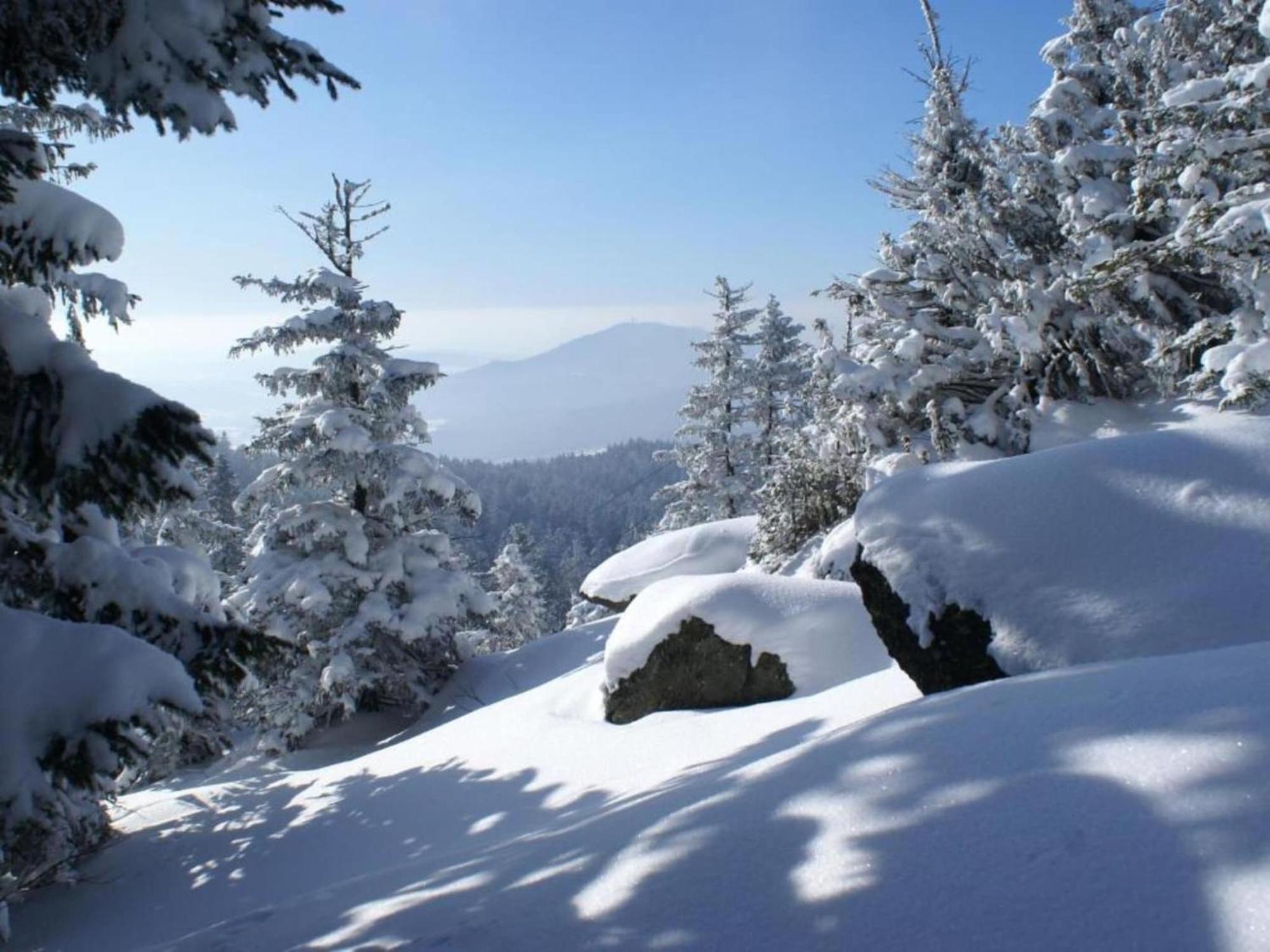 Comfort Apartment With Balcony In The Beautiful Bavarian Forest Drachselsried Exterior foto